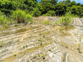 表層地質図とは？地形別の地盤の強さを紹介