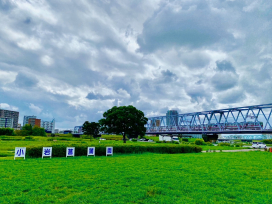 小岩駅・京成小岩駅――江戸川の流れと共に…"100年栄えるまちづくり"(東京都江戸川区/JR中央・総武線各駅停車・京成本線)①歴史編