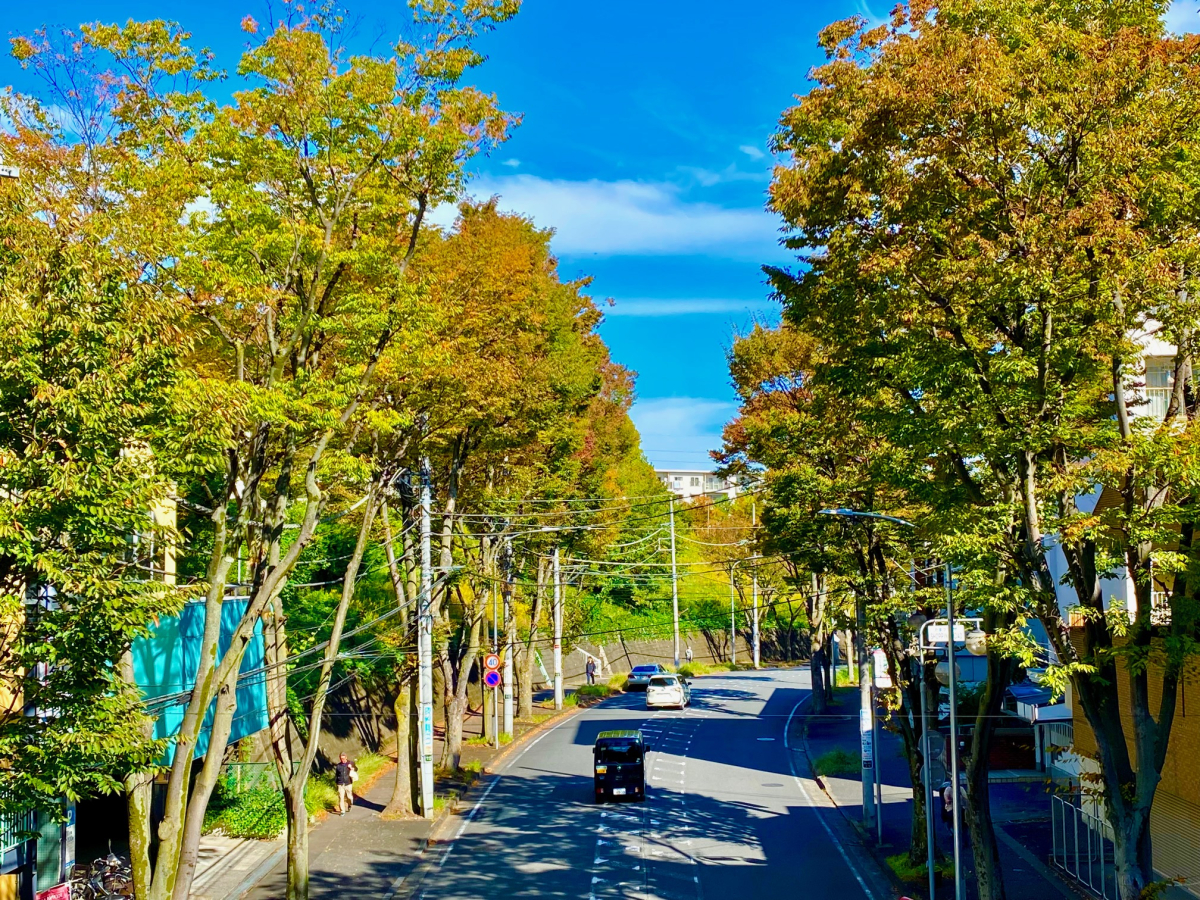 たまプラーザ駅①歴史編――東急の源流・田園都市の集大成…“理想の郊外”が“金妻タウン”になるまで(横浜市青葉区/東急田園都市線)|マンション図書館