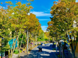 たまプラーザ駅①歴史編――東急の源流・田園都市の集大成…“理想の郊外”が“金妻タウン”になるまで(横浜市青葉区/東急田園都市線)