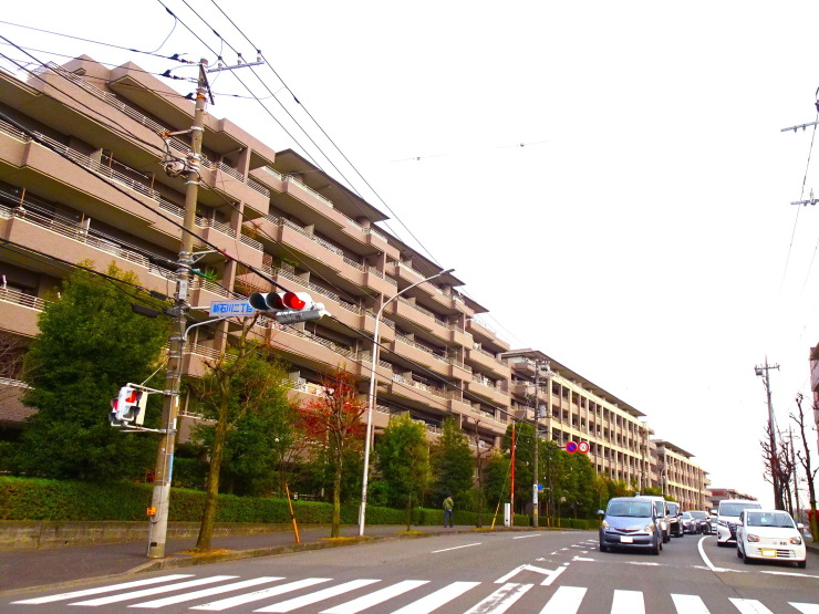 ▲市道日吉元石川線。道路沿いに建ち並ぶマンションは「東急ドエルローブルたまプラーザ」。