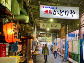 溝の口駅･武蔵溝ノ口駅①歴史編――農村･溝口村が“田園都市線の異端児”になるまで(川崎市高津区/東急田園都市線･JR南武線)