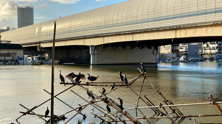 ▲現在の京葉道路と船橋港。かつての海岸線は殆ど失われたが、港町の風情に名残が感じられる。