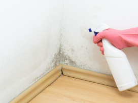 部屋がカビ臭い原因は?今すぐできる効果的な匂い取り方法を徹底解説