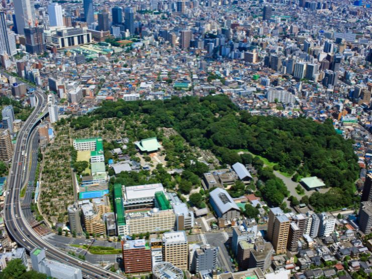 江戸川橋・護国寺エリアのグルメ情報