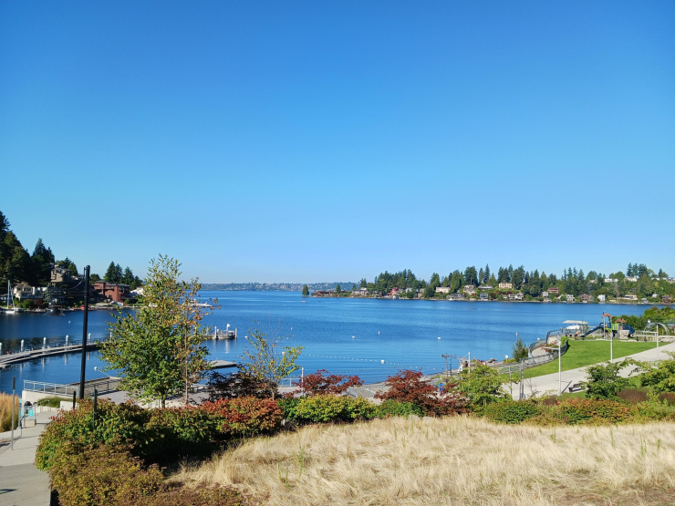メイデンバウアー湾（ワシントン湖）