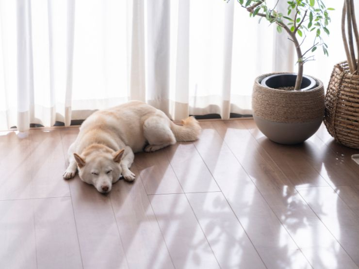 【家族構成別】あなたに合った最適な滑り止め対策