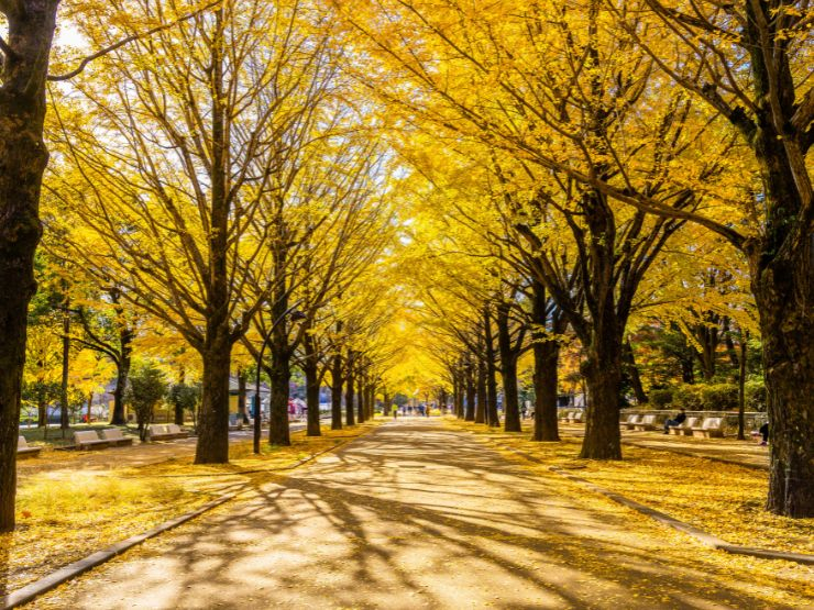成増での子育て・教育環境｜光が丘公園も生活圏内