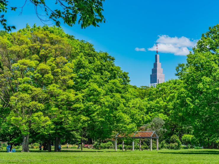 初台の生活利便性と周辺環境｜都会的な買い物と豊かな緑