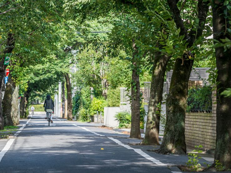 【成城学園前エリアの概要】住民が守り抜く美しい街並み