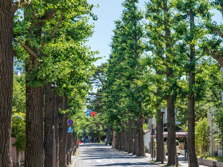 成城学園前での子育て・教育環境｜文教地区ならではの雰囲気