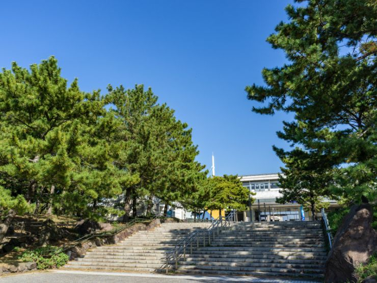 金沢八景での子育て・教育環境｜週末が楽しみになる街