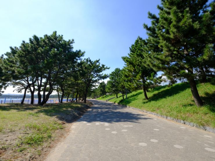 まとめ：再開発で輝きを増した「金沢八景」で、海と都市のバランス良い暮らしを