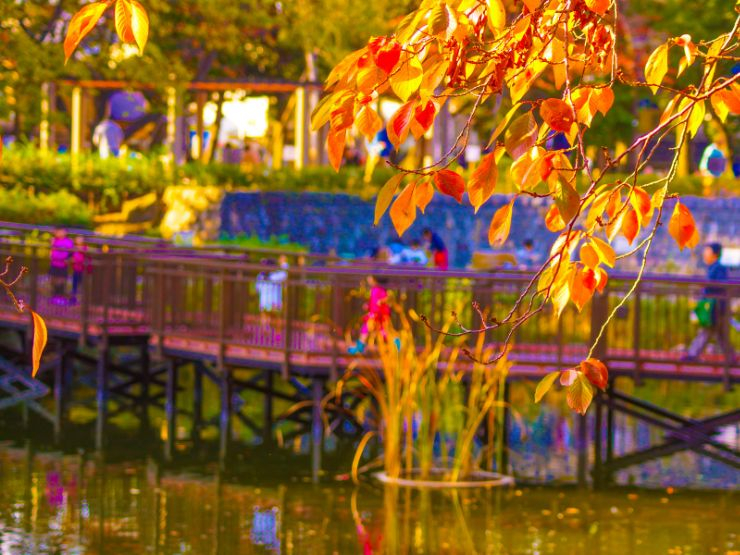 【戸越エリアの概要】下町情緒と都市機能が融合する街