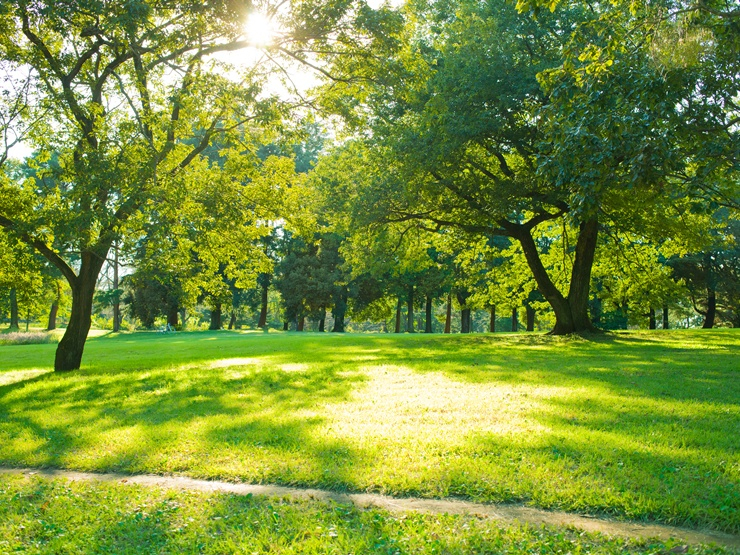 尾久の子育て・教育環境｜北区の子育て支援と穏やかな環境