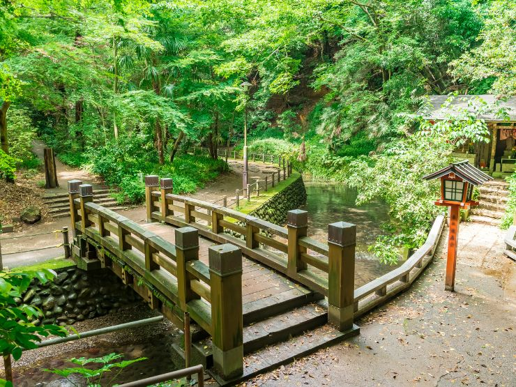 尾山台での子育て・教育環境｜文教の薫り漂う世田谷の学び舎