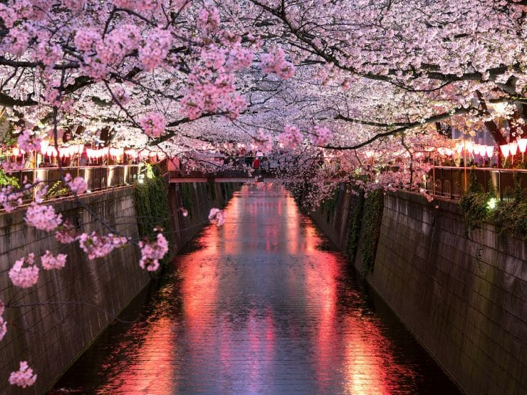 不動前での子育て・教育環境｜緑と歴史に囲まれて育つ街