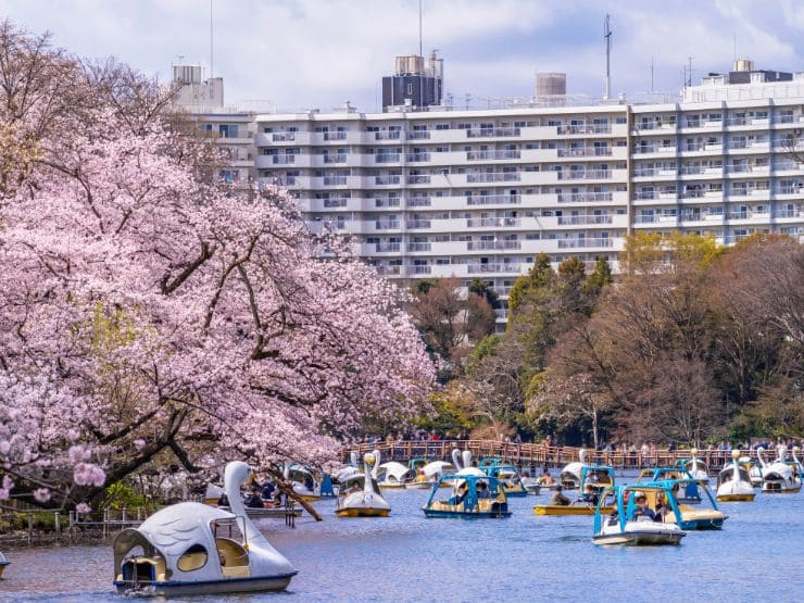 【概要】三鷹台エリアの概要｜昭和8年開業、井の頭の緑に抱かれた閑静な住宅街