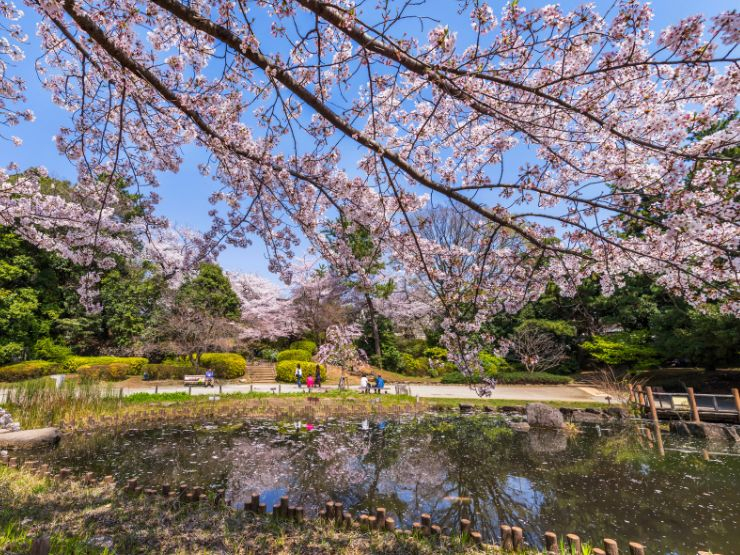 落合南長崎の生活環境｜買い物・飲食・医療施設