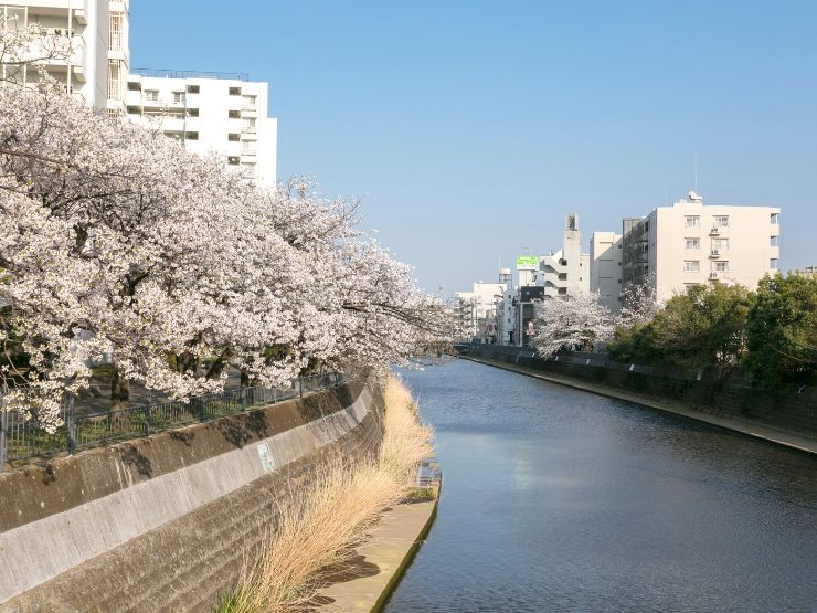 【西谷駅エリアの概要】帷子川の谷地に広がる「横浜の穴場」西谷駅エリア
