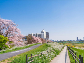 雑色駅周辺の住みやすさを徹底解説！下町の商店街と品川まで最短約17分の好アクセス