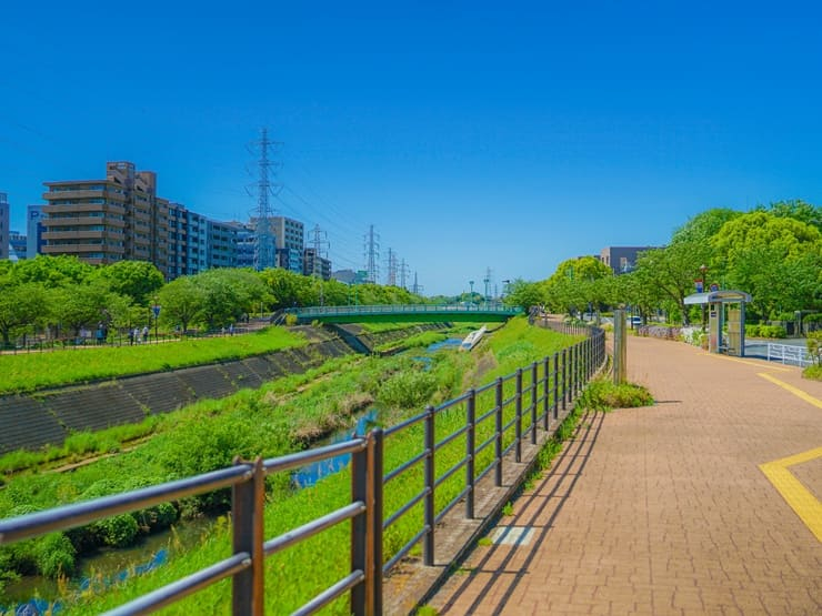 小机エリアの子育て環境｜新横浜公園と横浜市の支援