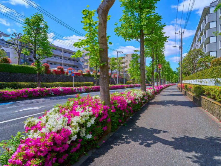 まとめ：里山とともに育つ街「はるひ野駅」で、子どもも大人ものびのび暮らせる日々へ