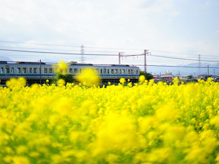 【栗平駅エリアの概要】区画整理が育てた緑豊かな計画住宅地