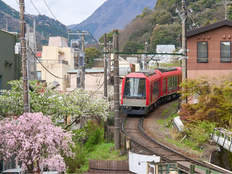 まとめ：温泉と旅情が日常になる「箱根湯本」で、湯の香とともに過ごす新しい生活を
