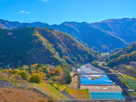 谷峨駅の住みやすさを徹底解説！丹沢と富士を望む山あいの駅と山北町の移住支援